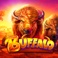 Buffalo